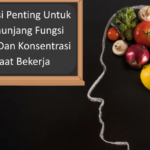 Nutrisi Penting Untuk Menunjang Fungsi Otak Dan Konsentrasi Saat Bekerja (1)