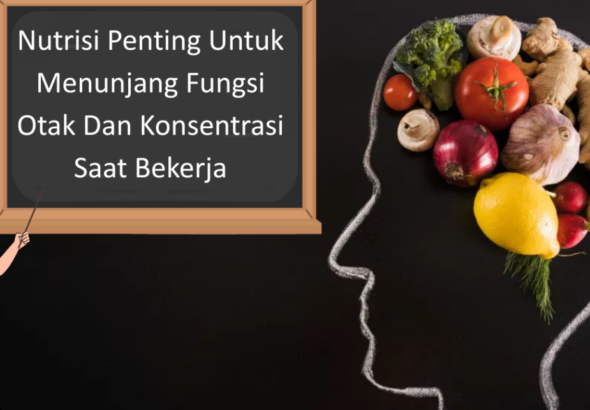 Nutrisi Penting Untuk Menunjang Fungsi Otak Dan Konsentrasi Saat Bekerja (1)